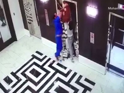 路过医生反应迅速，救下牵绳被电梯夹住的小狗