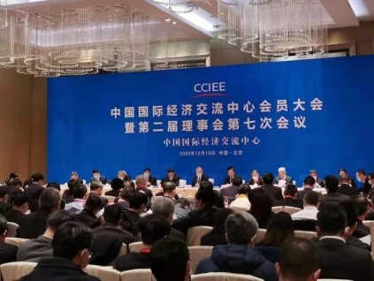 康力电梯董事长王友林荣任中国国际经济交流中心理事