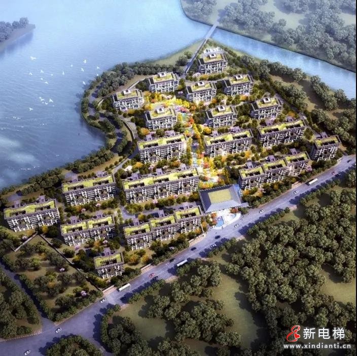 蒂升2