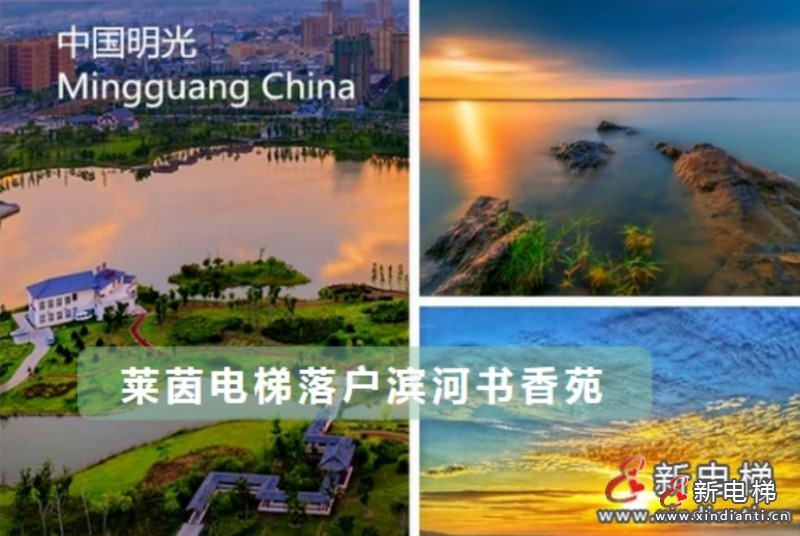 莱茵明光