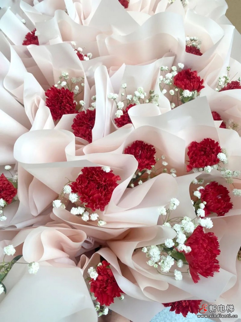 微信图片_20230308113925