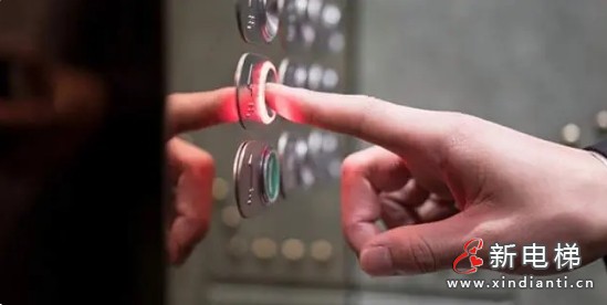 微信截图_20231212095407