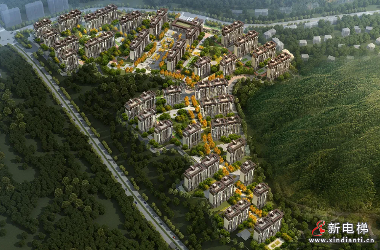屏幕截图 2024-07-03 151845