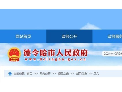 青海某德令哈市一公司电梯维保现场工作人员少于两人，被罚15000元