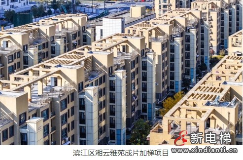 微信截图_20241224111155