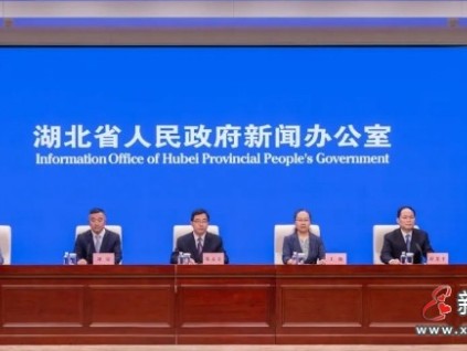 通过立法与民生需求深度结合，湖北省正构建“法治化+标准化”的加梯新格局‌