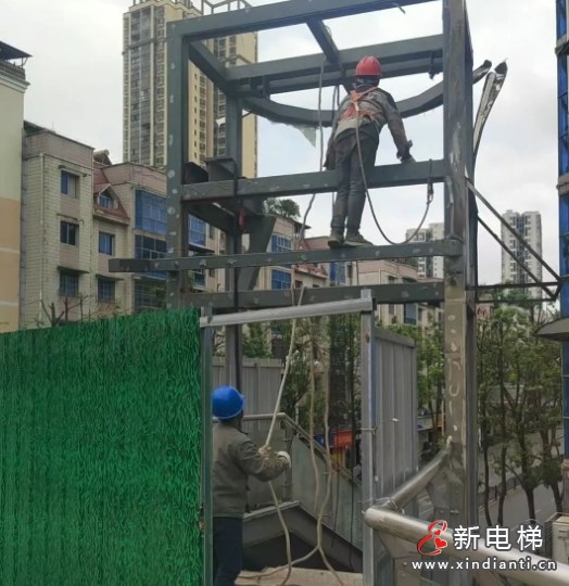 微信截图_20250515103654