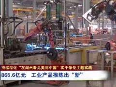 创新引领求发展市场布局谱新篇《湖州新闻联播》对恒达富士电梯的报道