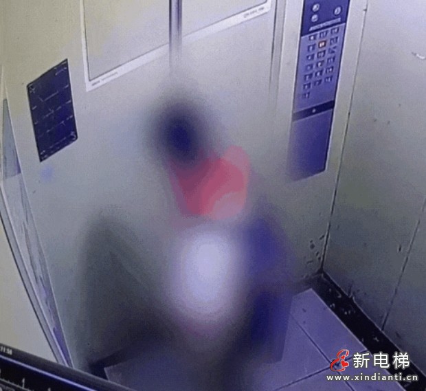 微信截图_20250529160201