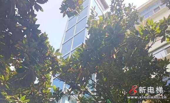 微信截图_20250606163810