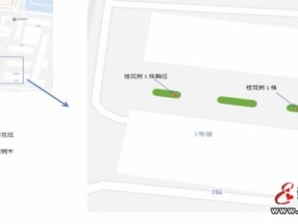 上海崇明区一小区科学规划与多方协作 实现"一改三得"示范样本