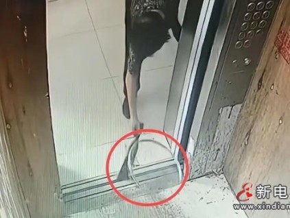 浙江老太"柴刀挡电梯"事件：一个糊涂决定引发的连锁灾难