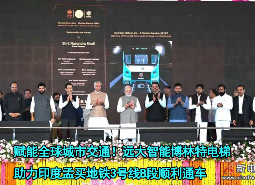 周刊专题|《新电梯》周刊2025年第38期 周刊专题|《新电梯》周刊2025年第38期