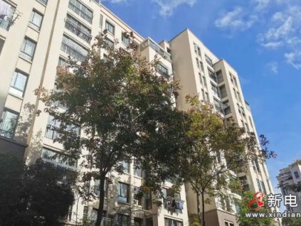 38天焕新30台电梯！上海杨行镇创老旧小区改造‘加速度’