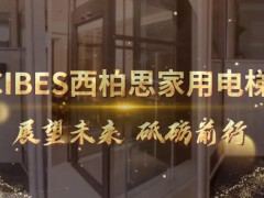 西柏思CIBES展望未来 砥砺前行