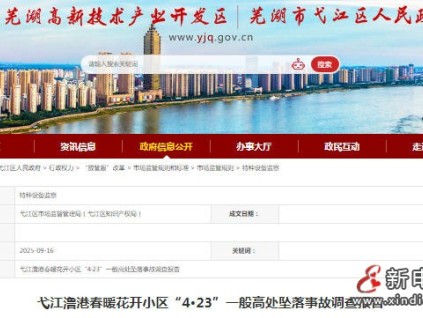 安徽芜湖弋江澛港某小区“4.23”高坠事故 未佩戴安全护具，电动环链葫芦吊钩脱落