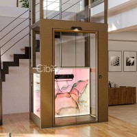 瑞典西柏思 S80 平台式家用电梯
