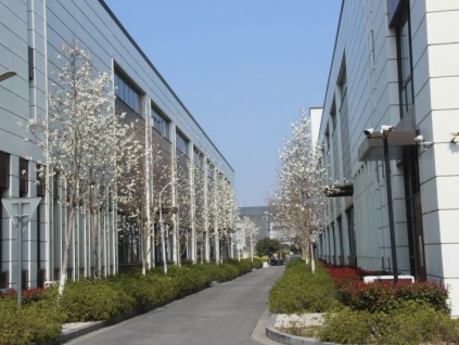 人物专访｜万修哲副总裁：让西柏思成为家的首选，共促行业健康发展