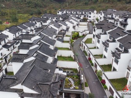 Cibes西柏思连续蝉联2026别墅电梯类TOP品牌前三，差异化技术与服务能力成关键优势