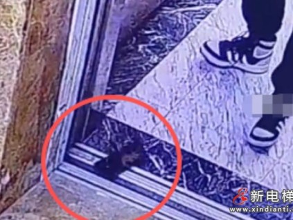贵州遵义一男子按电梯按出“意外”：手机掉落电梯井先一步“下楼”了