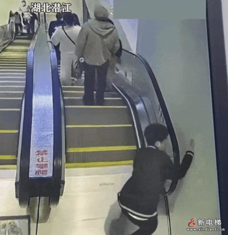 微信图片_20260413105137_173_24