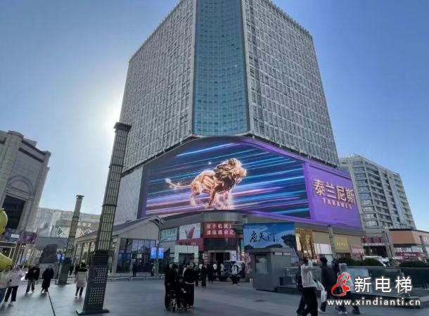 微信图片_20260517210259_20_31