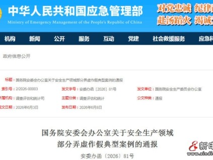 国务院安委办通报安全生产造假典型 检测机构漏检百米钢丝绳致金矿事故7死
