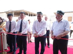 共建丝路新枢纽，博林特电梯乌兹别克斯坦生产基地开启海外智造新篇章