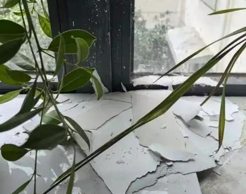 漏雨