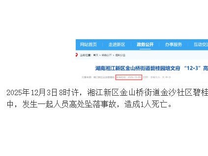 别墅电梯安装过程中发生坠落事故，电梯公司和法人被处罚
